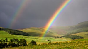 Read more about the article The Magic of Rainbows: How They’re Created